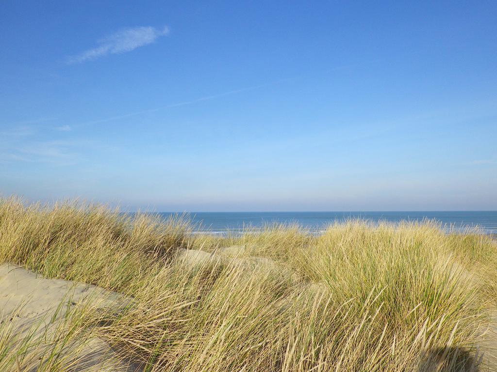 Evancy La Brise Des Dunes Bray-Dunes Ngoại thất bức ảnh